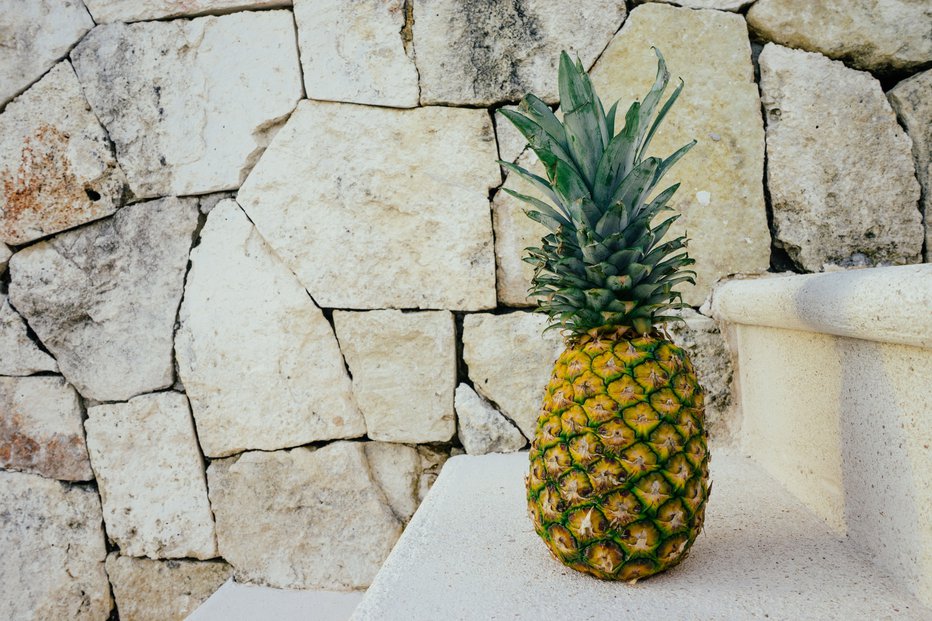 Fotografija: Ananas je našel pred svojim hišnim pragom. FOTO: Pineapple Supply Co., Unsplash