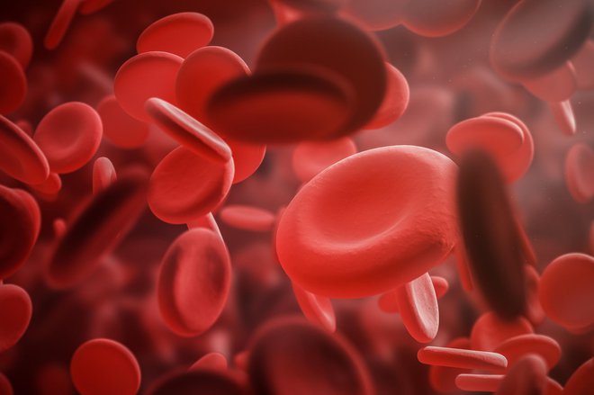 Značilna je zmanjšana količina beljakovine, potrebne za strjevanje krvi. FOTO: Getty Images/iStockphoto