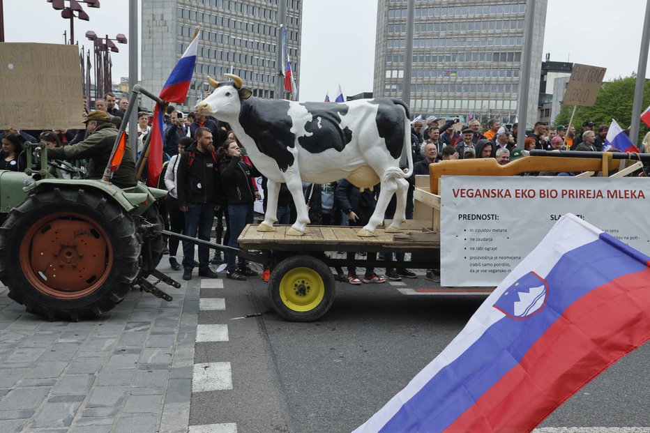 Fotografija: Protest kmetov v Ljubljani. FOTO: Jože Suhadolnik