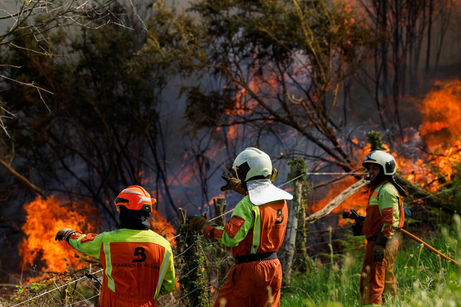 Fotografija: Gasilci z nadzorovanim sežigom gasijo požar. FOTOGRAFIJI: Vincent West, Reuters