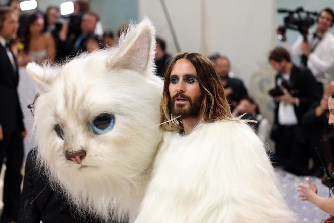 Jared Leto je preobrazbo v mačko vzel skoraj dobesedno.
