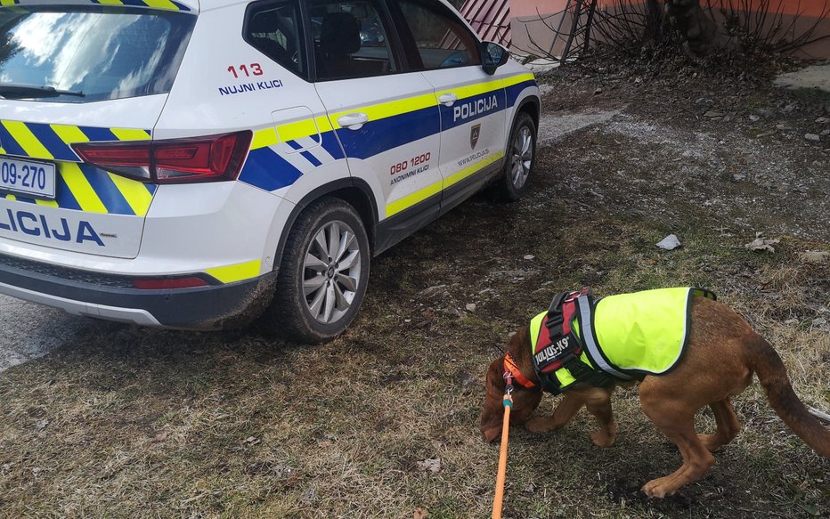 Fotografija: policija policijsko vozilo pes iskalna akcija pes reševalec FOTO: Pu Nova Gorica