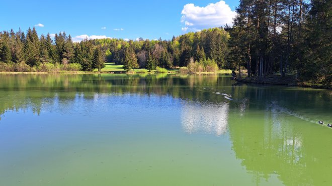Neokrnjena narava umetnega jezera