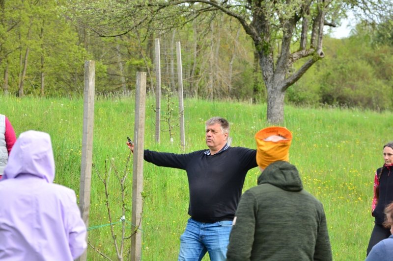 Fotografija: Rez je predstavil Miran Torič, kmetijski svetovalec, specialist za vinogradništvo, sadjarstvo in ekološko kmetovanje. FOTOGRAFIJI: Arhiv JZ KP Goričko