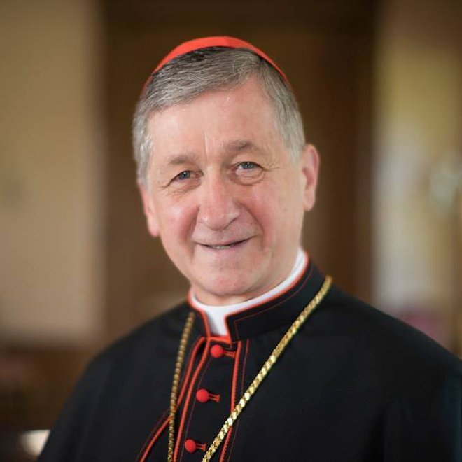 Nadškof Chicaga kardinal Blase Cupich je zlorabe označil za odvratne. FOTO: Nadškofija Chicago