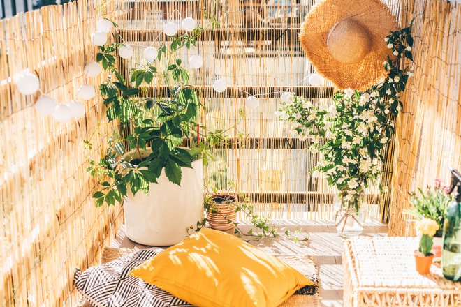 Z nekaj rastlinami in mehkimi blazinami bo balkon postal oaza sredi mesta. FOTO: Maria Korneeva, Getty Images