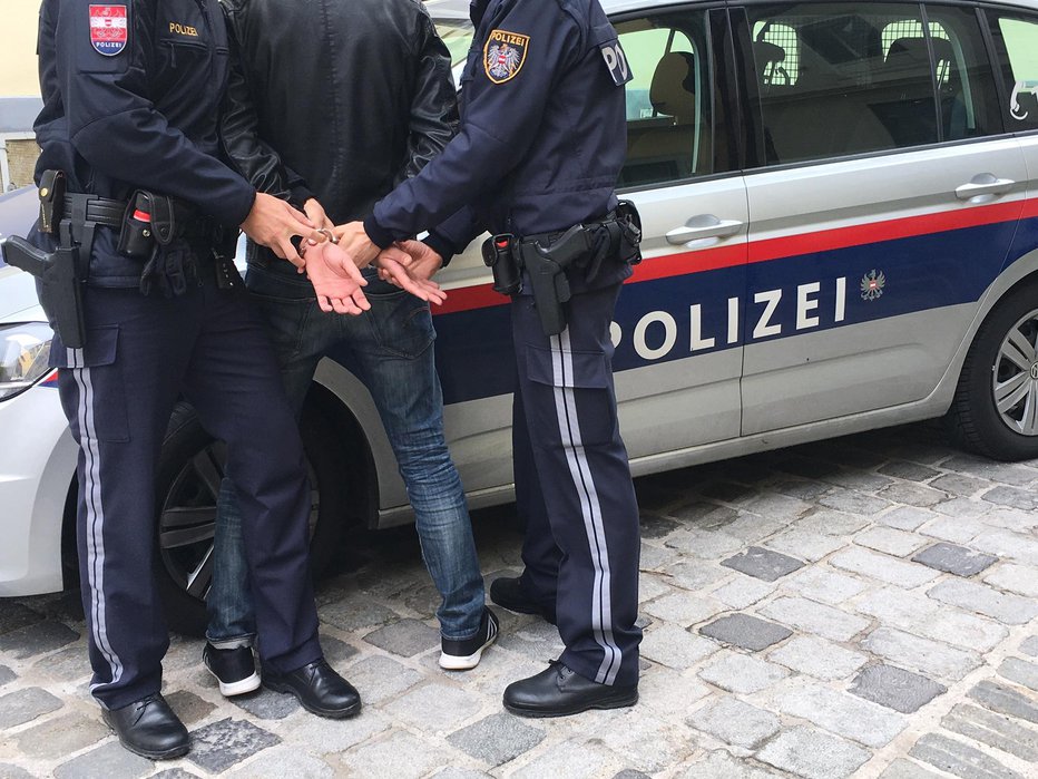 Fotografija: Avstrijski policisti so prijeli 11 ljudi, na zatožni klopi jih je končalo devet. FOTO: Polizei.gv.at