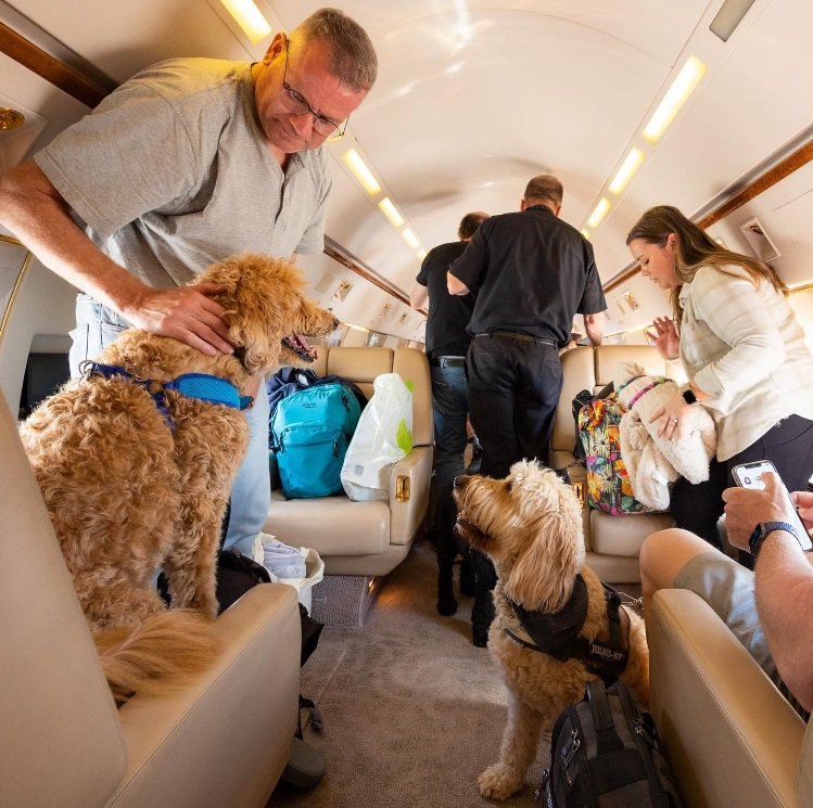 Fotografija: Psi in ljudje so enakovredni potniki. FOTOGRAFIJI: K9 Jets