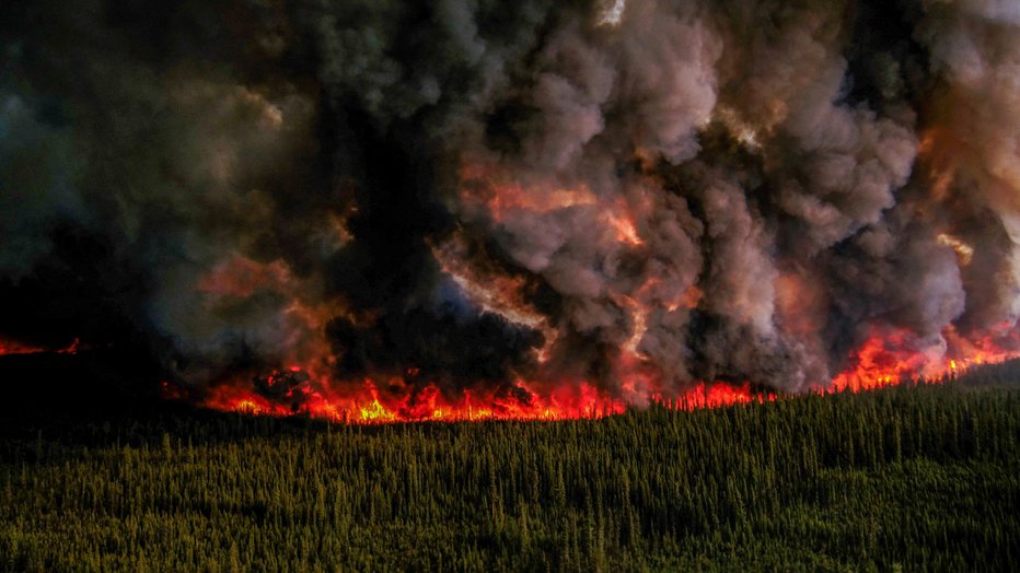 Fotografija: Zaradi ognja je razseljenih že 20.000 ljudi. FOTO: Reuters