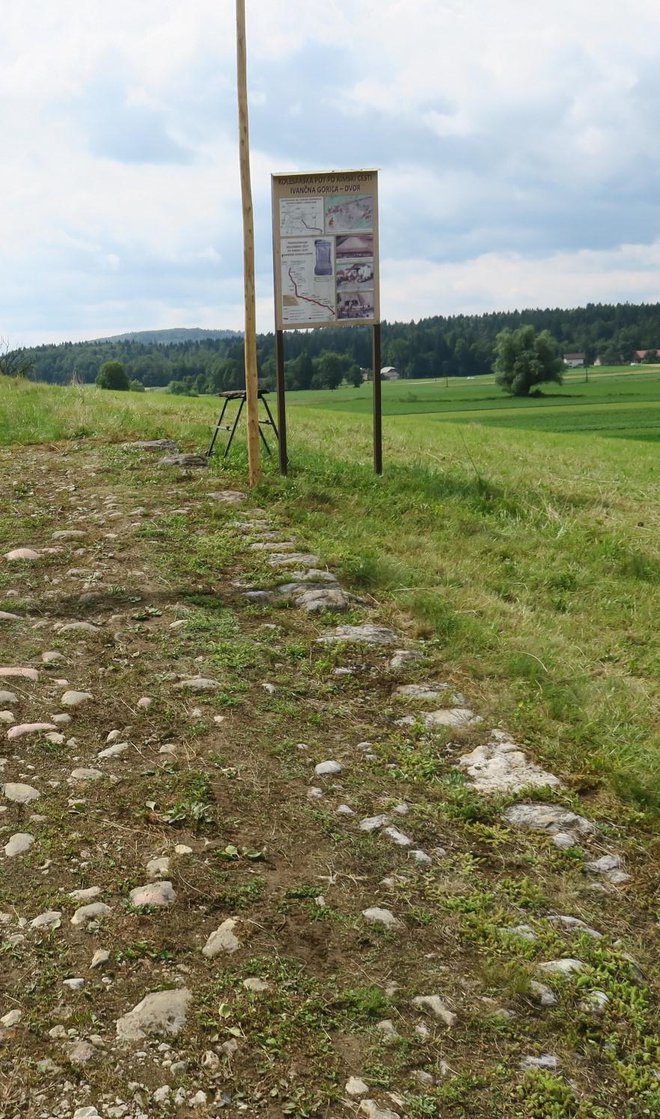 Na travniku na poti od Ivančne Gorice so izjemne sledi kamnite rimske ceste.