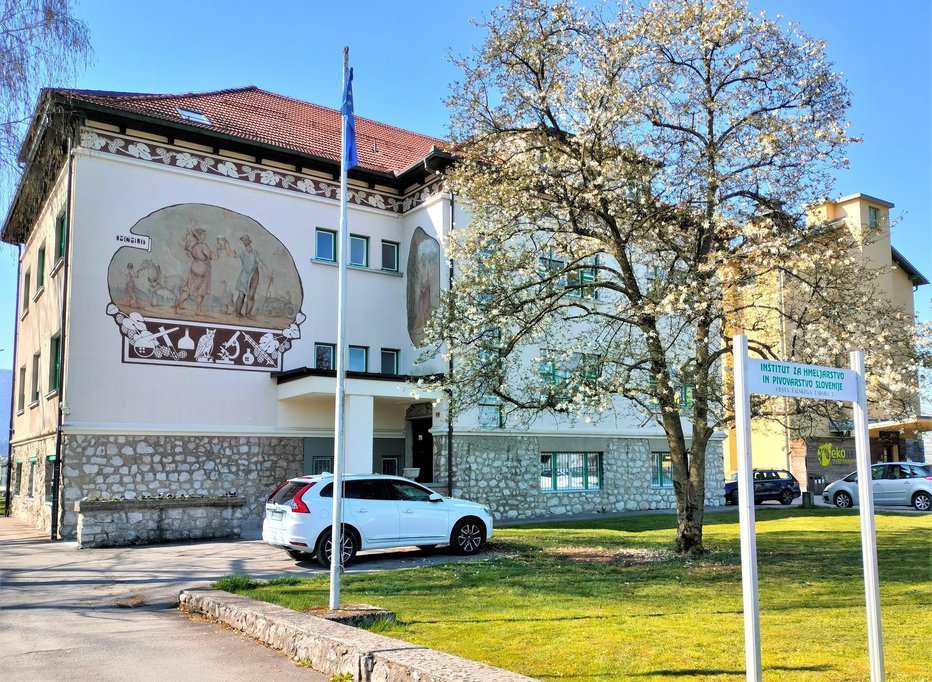 Fotografija: Inštitut za hmeljarstvo in pivovarstvo Slovenije uspešno deluje že 70 let.