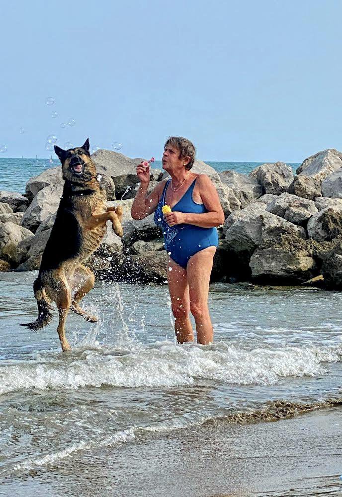 Fotografija: Večina psov uživa v čofotanju. FOTO: MONI ČERNE