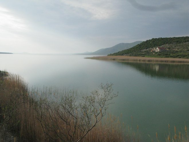 Vransko jezero Foto: Dragica Jaksetič
