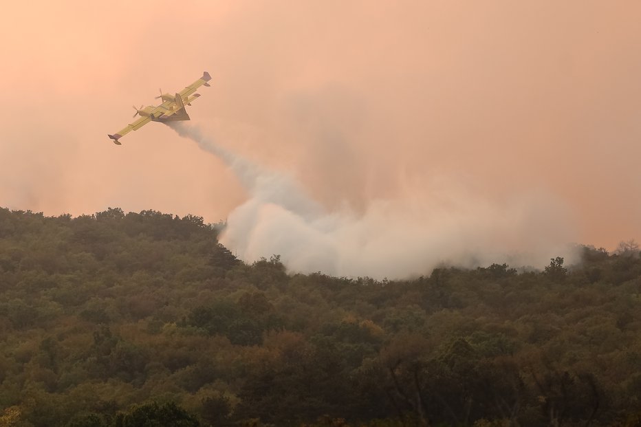 Fotografija: Požar Kostanjevica na Krasu, 21.julij 2022. FOTO: Črt Piksi, Delo
