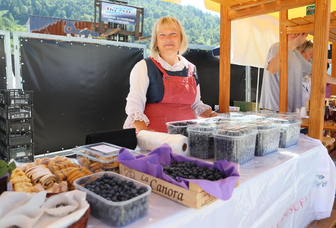 Marija Suhadolnik s kmetije pri Ljubljanščevih v Borovnico prihaja že 25 let. FOTO: Dejan Javornik