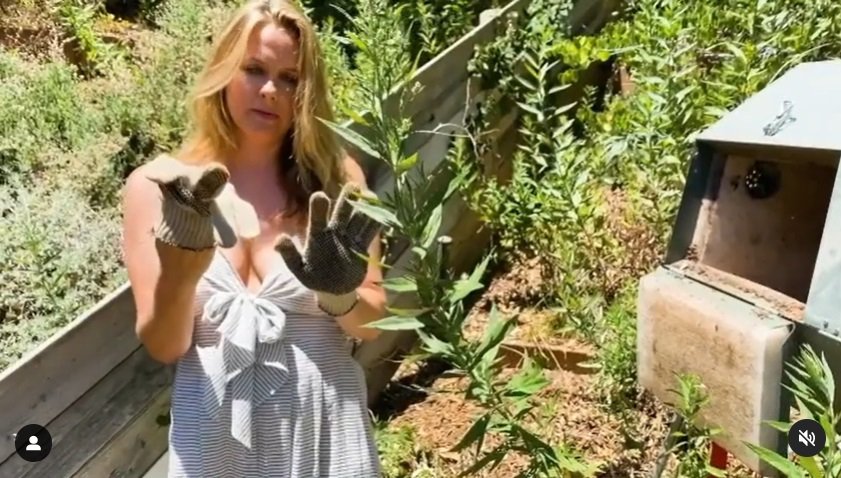 Fotografija: Hollywoodska zvezdnica si roke rada umaže z zemljo, ko dela na svojem eko vrtu. FOTO: osebni arhiv