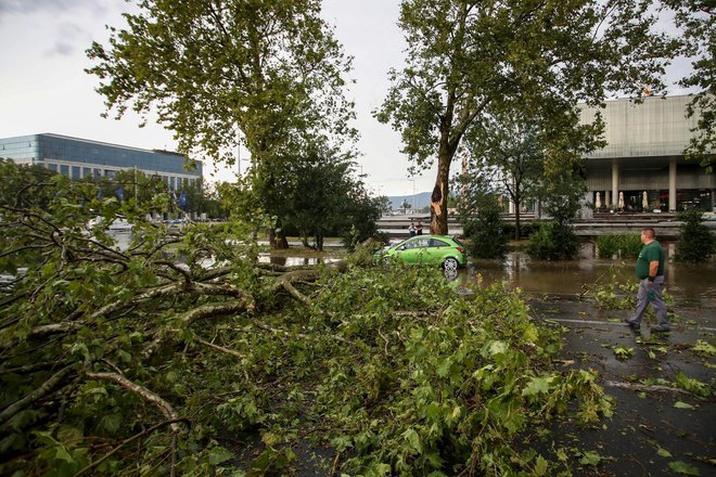 Intervencijske službe v Zagrebu že odpravljajo posledice, ki so jih povzročile obilne padavine in močan veter. FOTO: Zeljko Lukunic/pixsell Pixsell
