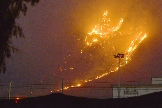 V okolici Palerma se gasilci borijo z gozdnimi požari. FOTO: Stringer/AFP