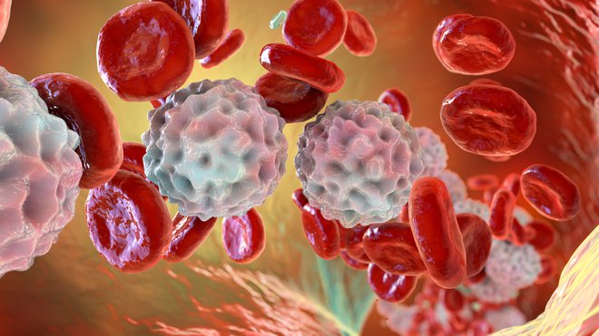 Gre za odziv telesa na poškodbo celic. FOTO: Dr_microbe/Getty Images
