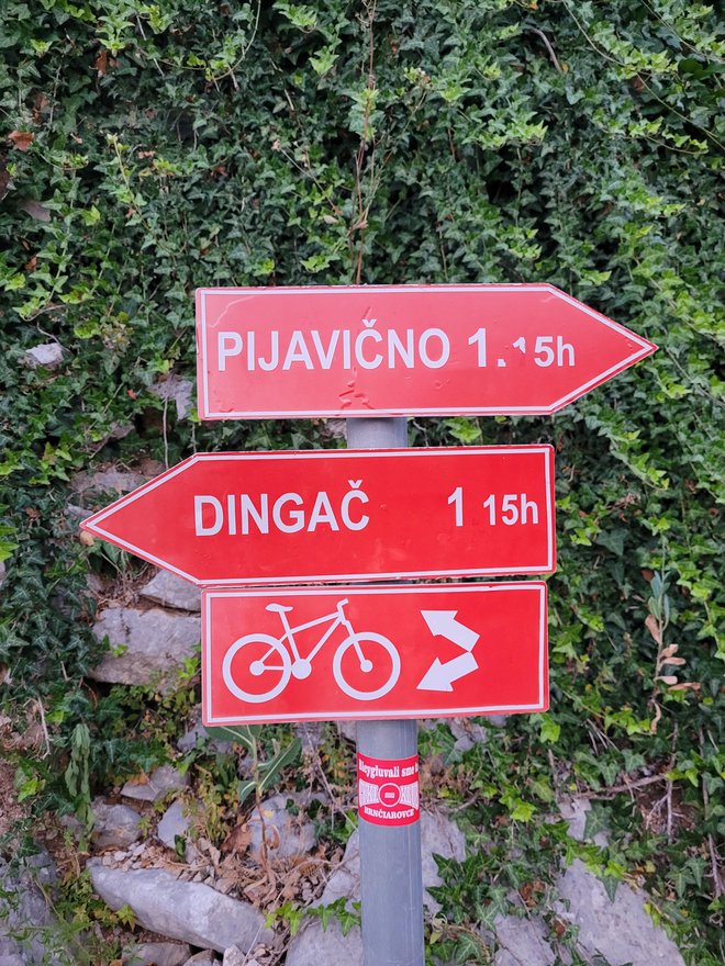 Po vinorodnih gričih in dolinah so speljane kolesarske in peš poti.  FOTO: Tina Horvat