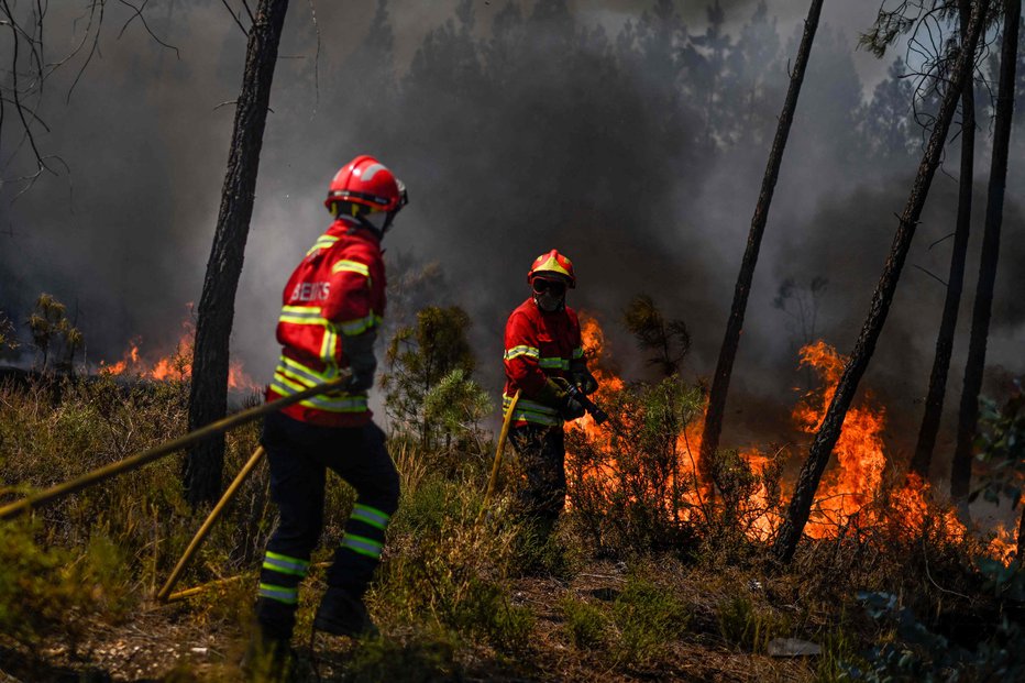 Fotografija: Na Portugalskem je uničenih ogromno površin. FOTO: Patricia De Melo Moreira/afp