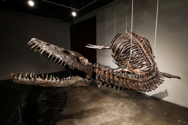 Nekateri verjamejo, da je vodni dinozaver, pleziozaver, ki mu je uspelo preživeti v globinah. FOTO: Brendan McDermid/Reuters