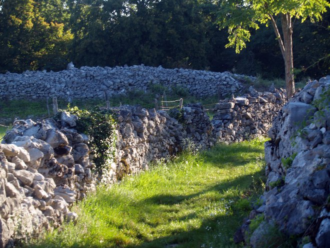 Ostanki obzidja in kamnitih ograj