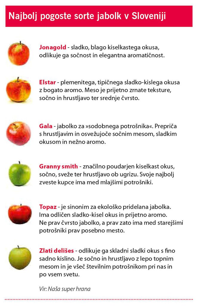 Najbolj pogoste sorte jabolk v Sloveniji FOTO: Delo/naša Super Hrana