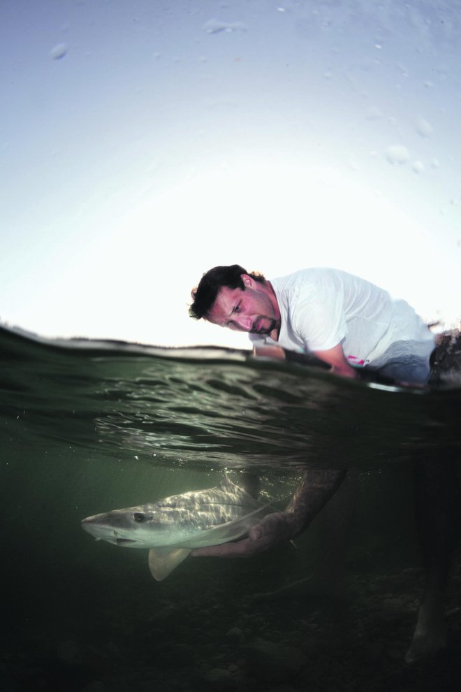 Andrej Gajić je morskim psom posvetil življenje, da bi jim pomagal. FOTO: Miloš Prelević/Jutarnji List