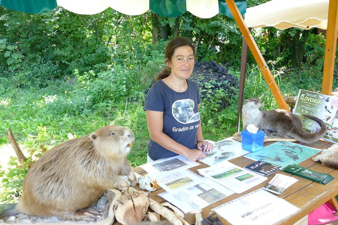 Lutra inštitut je obiskovalce seznanil o življenju bobrov in vider.