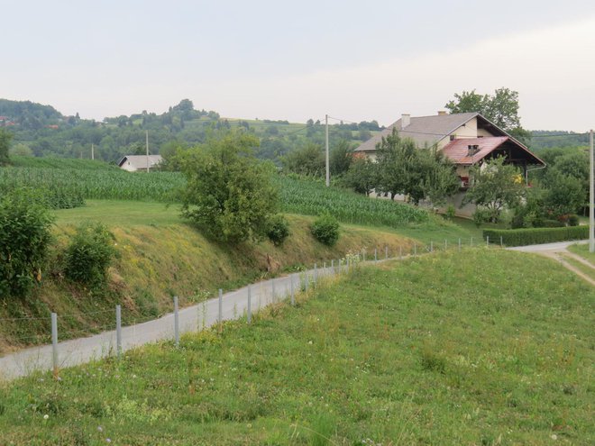 Sredi Brezovice stojijo štiri hiše na zemljišču, ki spada v hrvaški kataster Sekuliči. Gre za enklavo (otok). FOTO: Bojan Rajšek