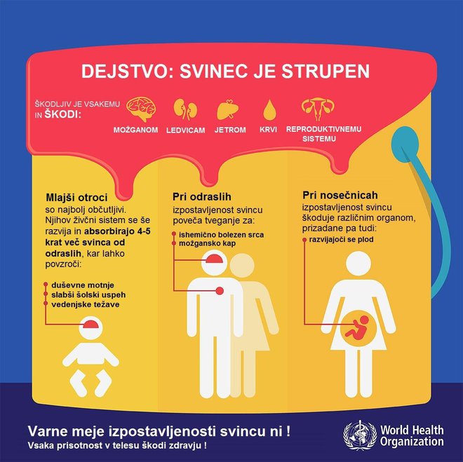 Vpliv svinca na zdravje FOTO: World Health Organization