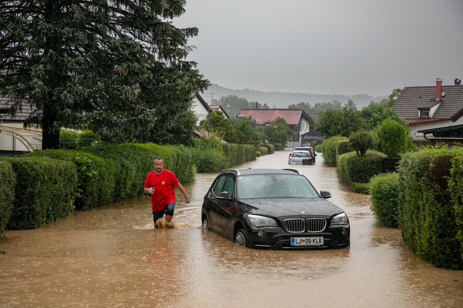 Fotografija: Sava je poplavila Sneberje in odnesla tudi bližnjo kolonijo breguljk. FOTO: Voranc Vogel