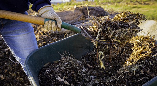Načeloma velja, da je kompost kakovosten, če je narejen doma, na našem vrtu ali kmetiji. FOTO: Sanghwan Kim/getty Images Getty Images/istockphoto