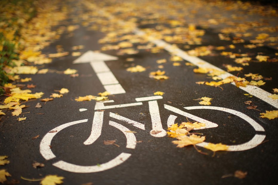 Fotografija: Če pešci koristijo kolesarsko stezo, tvegajo kazen. FOTO: Jure Eržen, Delo
