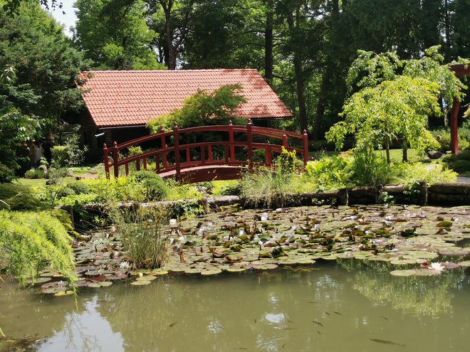 Japonski vrt, kakršen je bil pred poplavo, o njegovi obnovi se že pogovarjajo.