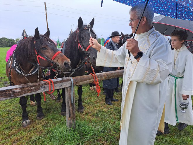 Črnovaški župnik Jože Brečko je tudi tokrat blagoslovil konje.