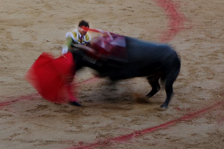 Fotografija: Bikoborbe veljajo za njihovo kulturno dediščino. FOTO: Susana Vera, Reuters