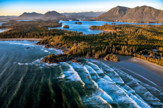 Mir je našla na kanadskem otoku Vancouver. FOTO: Dave Hutchison Photography, Getty Images