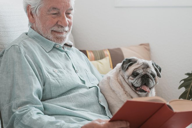 Z nekaj prilagoditvami bo tudi starejši pes užival življenje. FOTO: Getty Images/iStockphoto