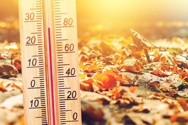 Jesen bo nadpovprečno topla. FOTO: Olya Detry/Shutterstock