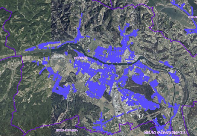 Mestna občina Maribor z izvedeno deratizacijo v letu 2023 FOTO: Mestna Občina Maribor