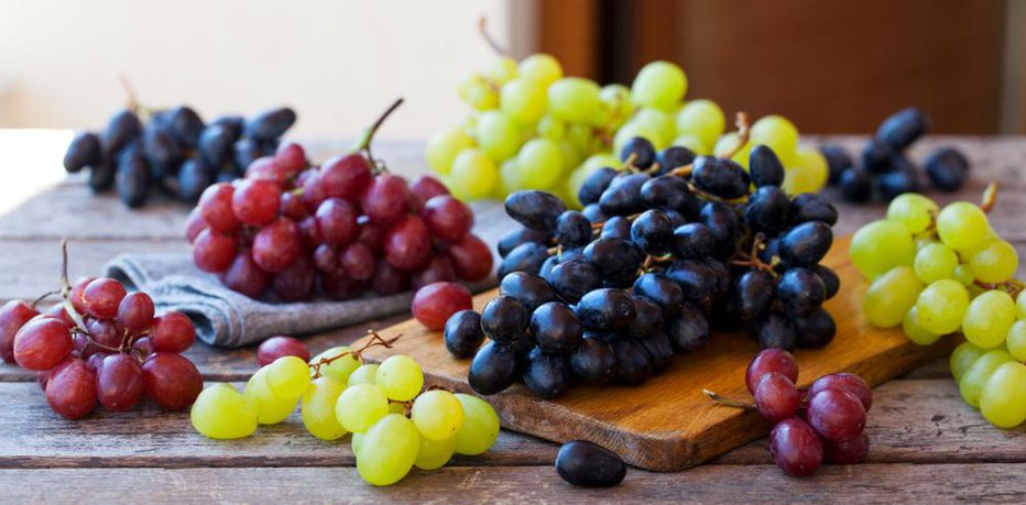 Fotografija: Assortment of fresh grape on cutting board. Grey wooden background. FOTO: Anna_pustynnikova/shutterstock Shutterstock