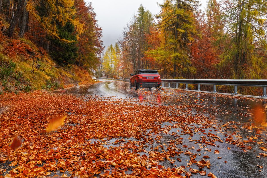 Fotografija: Vožnja v jesenskih mesecih nam včasih ponuja čudovite prizore, toda zaradi vlažnega cestišča in odpadlega listja je lahko zelo nevarna. FOTO: Getty Images