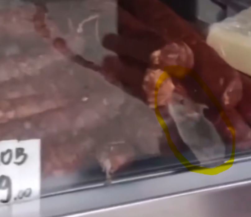 Fotografija: Miš se je sprehajala po vitrini in glodala meso. FOTO: Zaslonski posnetek, X