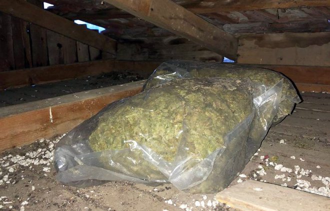 2,3 kilograma marihuane so našli pri Slovencu. FOTO: PU Niš