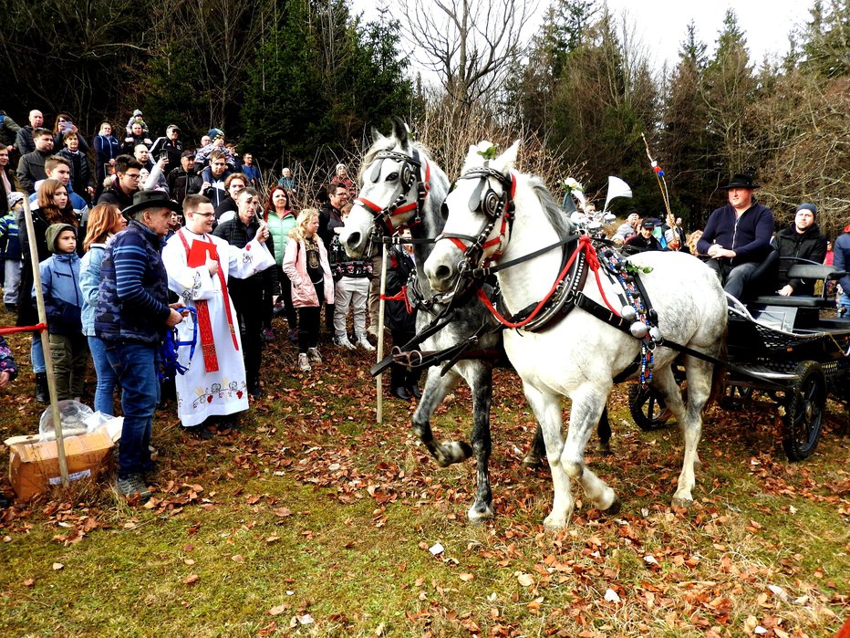 Fotografija: Konje je blagoslovil cerkljanski župnijski upravitelj Martin Leban. FOTOGRAFIJE: Janez Kuhar