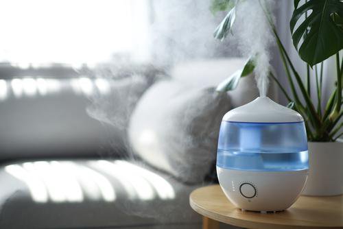 Fotografija: Suh zrak v stanovanju je pozimi pogosta težava. FOTO:  Shutterstock