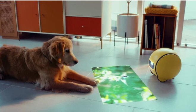 Samsungov robotek bo znal zabavati tudi vašega živalskega ljubljenčka.