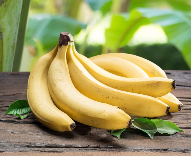 Čvrste banane so bogata zakladnica odpornega škroba in probiotikov. FOTO: Valentynvolkov/Gettyimages